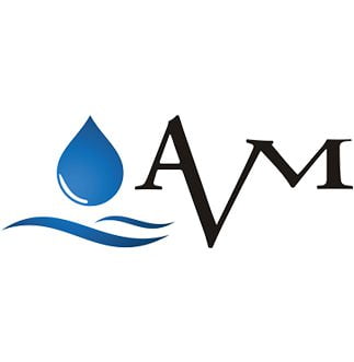 avm avm